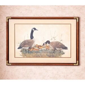 Vintage Anthony Rudisill Canada Geese Signed Print 34x25" Wall Art Granny Core